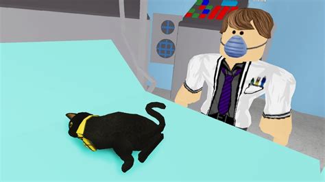 Sir Meows A Lot Has A Surgery Youtube