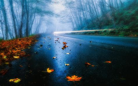 Usa Road Autumn Rain Fog Foliage Forest Trees Light Wallpaper 1280x800 Resolution