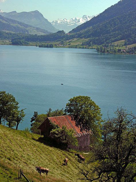 14 Ägerisee Switzerland Ideas In 2021 Switzerland Travel Zug