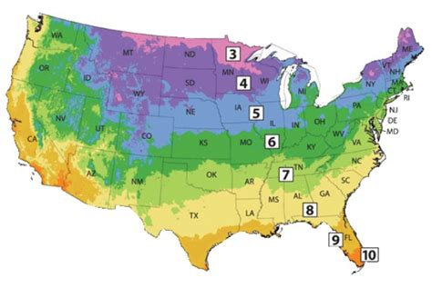 What Plant Hardiness Zone Is Colorado New Planting