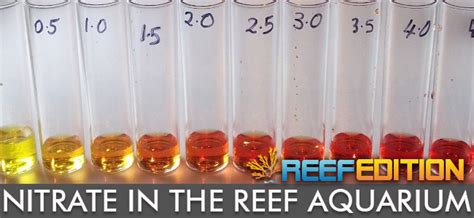 Nitrate In The Reef Aquarium Reefedition