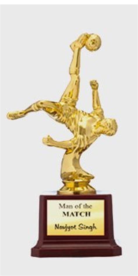 Man Of The Match Award Trophies At Rs 250piece क्रिकेट ट्रॉफी In