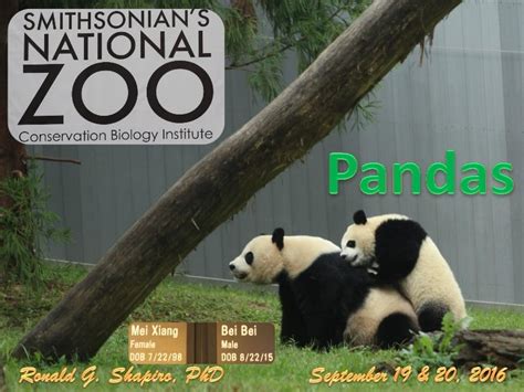 Smithsonians National Zoo Pandas September 2016
