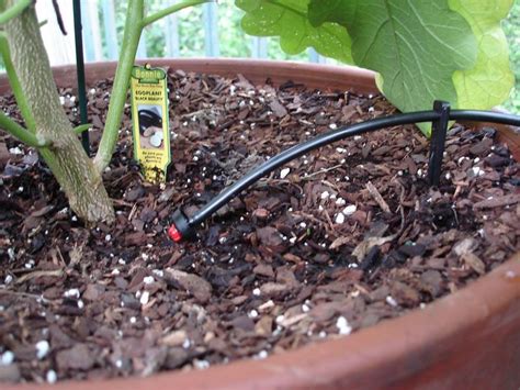 Drip Water Irrigation System For A Container Garden Laptrinhx News