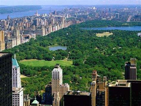 Free Wallpaper Central Park New York Top View Wallpaper