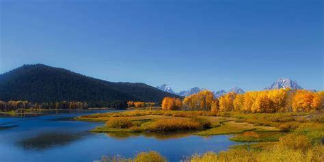 Autumn Colors Country Countryside Dawn Daylight Fall Forest