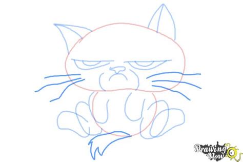 How To Draw Chibi Grumpy Cat Drawingnow