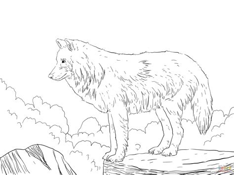 This arctic animals printable pack includes the arctic fox, arctic hare, penguin, puffin, harp seal or how the incredible hearing of the arctic fox allows them to locate the precise position of their prey beneath the snow? Realistic Wolf Coloring Pages To Print - Coloring Home