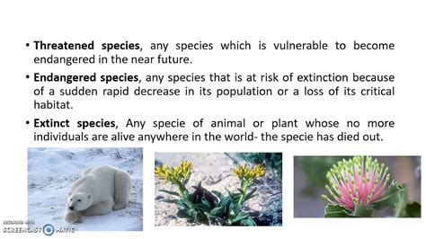 Threatened Endangered And Extinct Species Lesson 11 Genetic