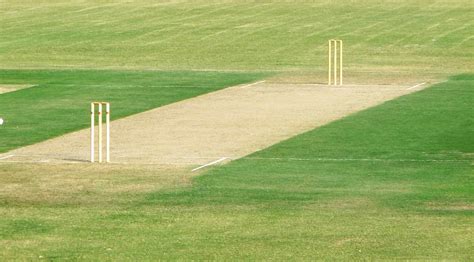 Cricket Pitch Turf Matters