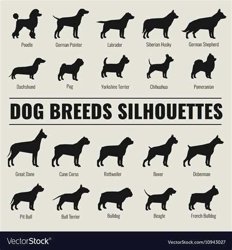 Dog Breeds Silhouettes Set Royalty Free Vector Image