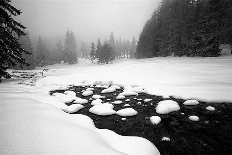 Morn In White By Evgeni Dinev 500px Save The Arctic Rhodope