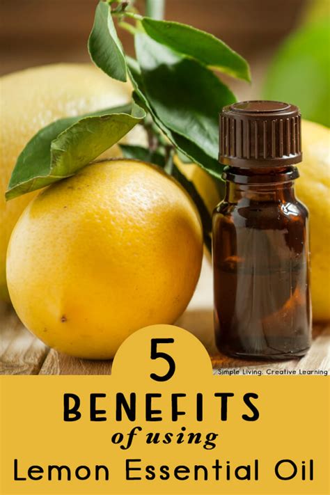 Benefits of lemon essential oil. 5 Benefits of Using Lemon Essential Oil - Simple Living ...