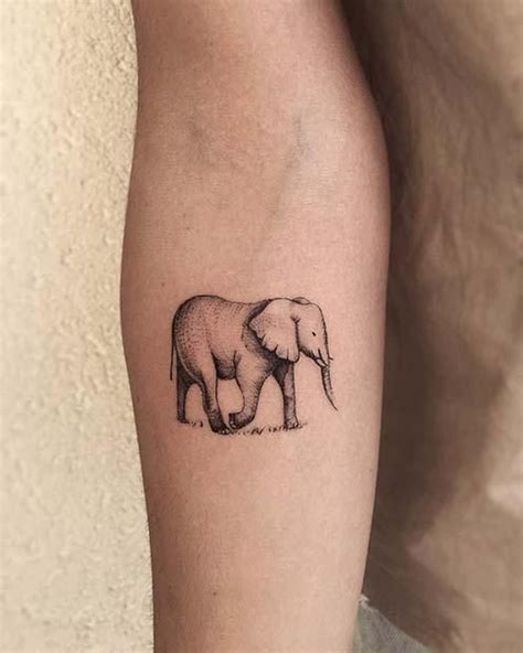 21 cool and creative elephant tattoo ideas elephant tattoo small elephant tattoo design