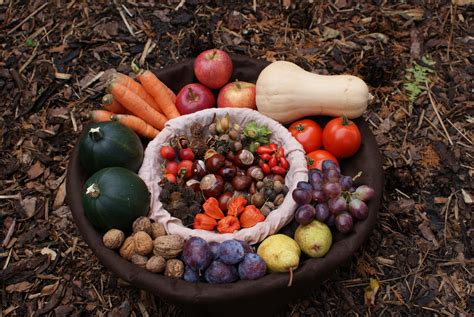 Images Gratuites Plante Fruit Aliments Récolte Produire Légume