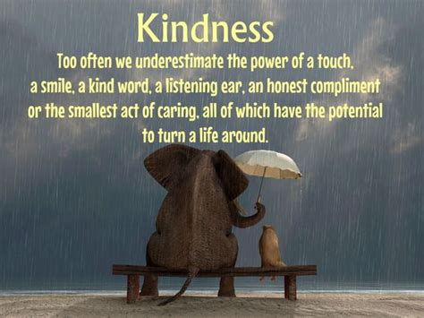 act  kindness