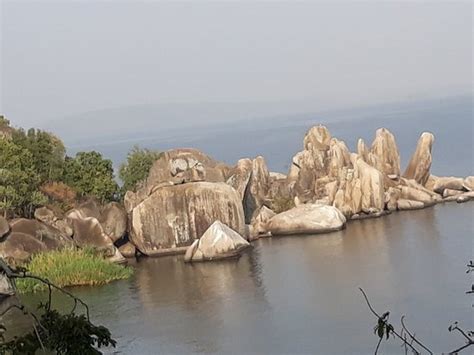 Saanane Island National Park Mwanza 2020 All You Need To Know