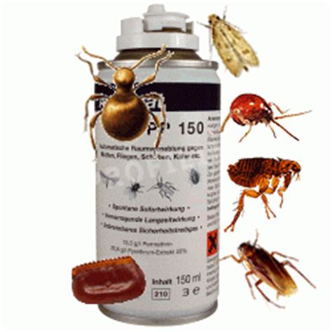 Jeder weiß, wie kakerlaken, ameisen oder wespen aussehen. Wanzen im Haus, Ungeziefer Wohnung, Parasiten, Bekämpfung ...