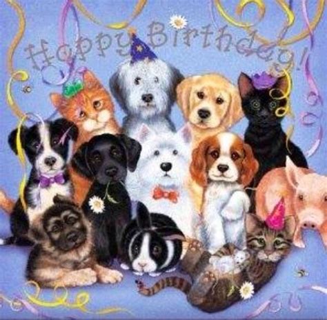 Happy Birthday Dog And Cat Images