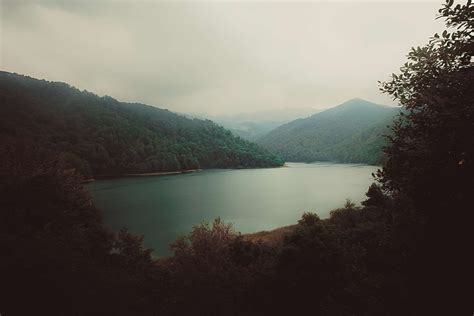 Cloudy Forest Lake Landscape Nature Overcast River