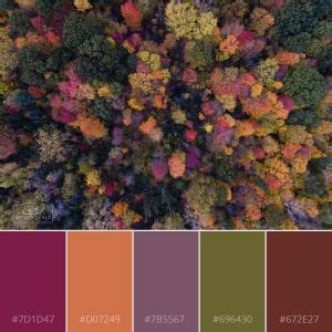 20 Fall Color Palettes with HEX Codes | Fall color palette, Business