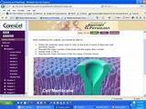 Pictures of Online Medical Terminology Course For Credit