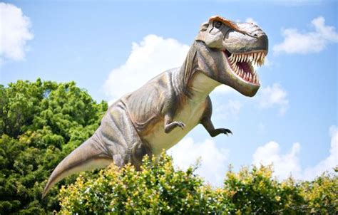 10 Interesting Dinosaur Facts My Interesting Facts