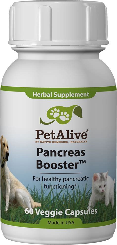 10 best dog foods for dogs with pancreatitis. Pancreas Booster™ - Support Pancreatic Sufficiency in Cats ...