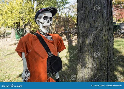 Halloween Skeleton Wearing A Cap And Bag Stock Image Image Of Guitar