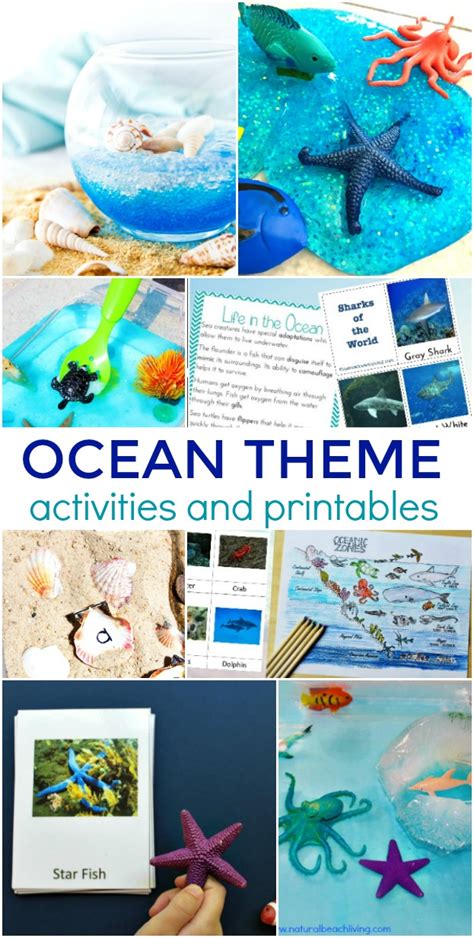 August Preschool Themes With Lesson Plans And Activities Natural
