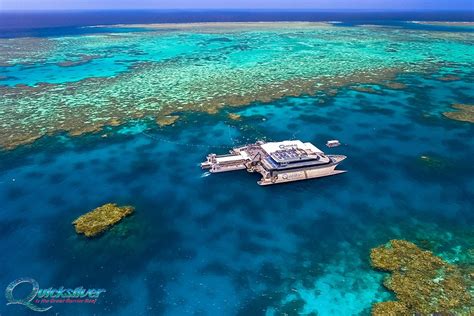 Free Great Barrier Reef Tour Cairns Holiday Specialists
