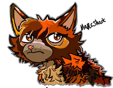 Mapleshade Of The Dark Forest Warrior Cats