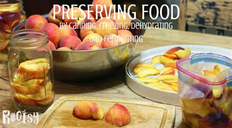 Four Ways Of Preserving Food At Home Rootsy Network