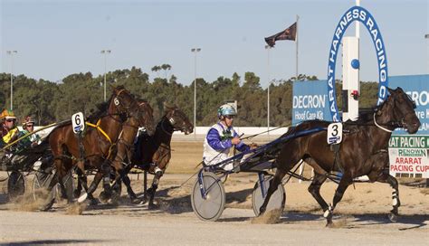 ararat harness racing club race meet tonight the wimmera mail times horsham vic