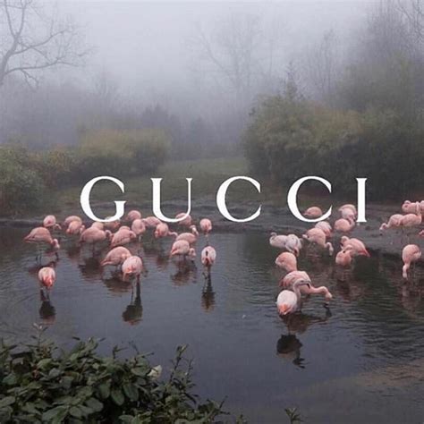 See more ideas about gucci pattern, gucci wallpaper iphone, hypebeast wallpaper. Gucci, Balenciaga or Vetements? Sourc | Aesthetic collage ...