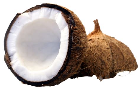 Download Coconut Hq Png Image Freepngimg