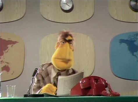 The Newsman Muppet Wiki Fandom