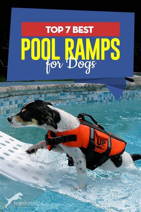 Clippers, blades, tubs, tables, dryers, shampoo, tools, accessories and more. Top 7 Best Dog Pool Ramps | Dog pool ramp, Dog pool, Dog ramp