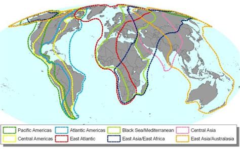 Birdlife Data Zone