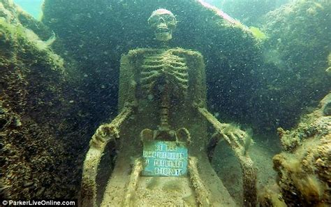 Phoenix Couple Claim Responsibility For Joke Skeletons At Colorado River Daily Mail Online