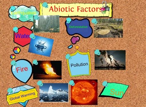 10 Facts About Abiotic Factors Fact File
