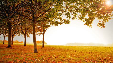 Beautiful Fall Scenery Wallpaper 1920x1080 29315