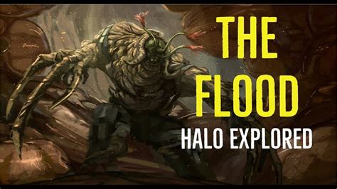 The Flood Halo Explored Youtube