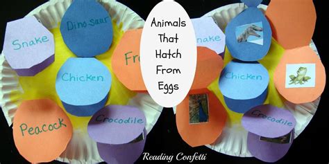 Animals That Hatch From Eggs Lesson Egg Project Fun Science Ela