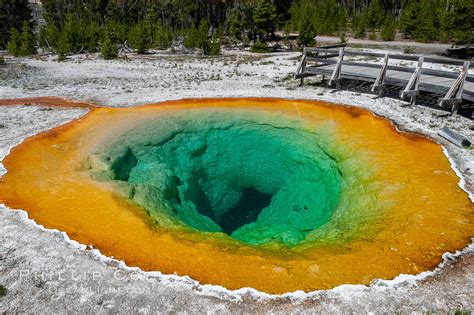Morning Glory Pool Yellowstone National Park Upper Geyser Basin Wyoming