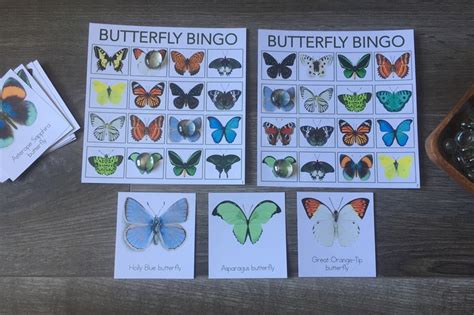 Butterfly Bingo Game Etsy