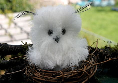 Baby Snowy Owl Photos Bing Images Cute Animals Pinterest Owl