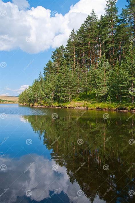 Lake And Forest On Zlatibor Mountain Stock Image Image Of Serbia