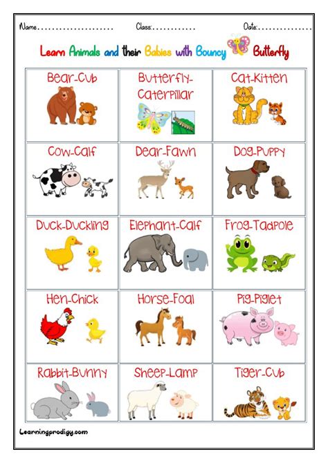Charts Learningprodigy Young Ones Of Animals Baby Animal Names