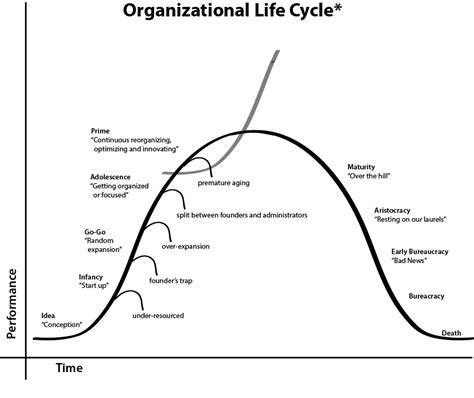 Organizational Life Cycle Life Cycles Life Organizational